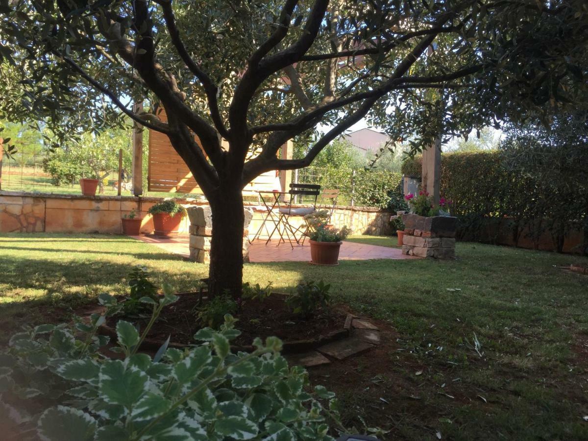 Apartment Villa Rossa بوريتش المظهر الخارجي الصورة
